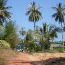dk-2rai-05-540x405
