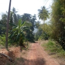 dk-2rai-10-540x405