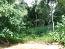 5rai-land-lonely-beach04