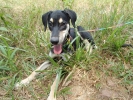Annabelle wants a home