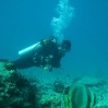 Underwater Life