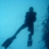 Diver