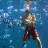Snorkeller