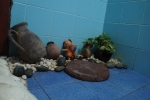 Budget Room