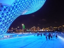 expo-26