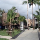 the-dewa-14