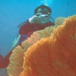 scuba-008