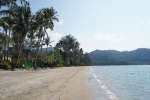 The beach