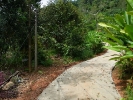 The road is paved, walk around 50 metres