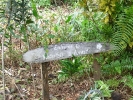 A small sign points to the start of the trail