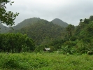 Nice views