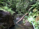 Trail ends and then walk upstream, not far to the waterfall now