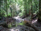 The river bed