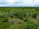 laem-sok-04