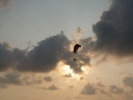 paramotor-apr10-12