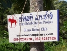 pony-centre-koh-chang-02