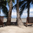 beachplots-17may-04-540x405