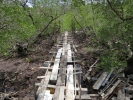 Salakphet Mangrove Walkway