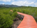 Salakphet Mangrove Walkway