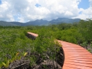 Salakphet Mangrove Walkway