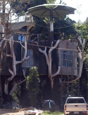 6jan-treehouse