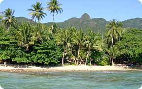 banpu