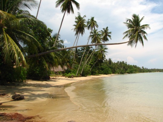 Own this stretch of beach Own this stretch of beach