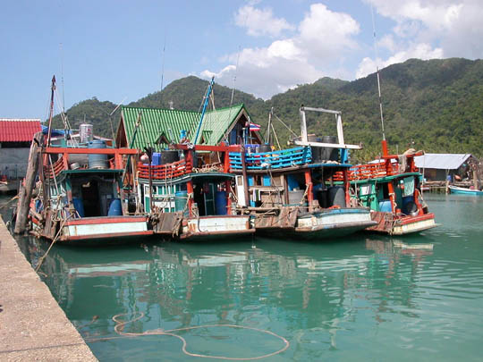 bangbao boats