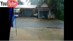 rain-video