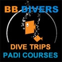 Koh Chang Dive trips & Dive Courses