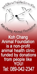 Support Koh Chang Animal Project\