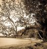 1930s island photos