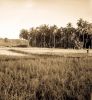 1930s island photos