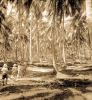 1930s island photos