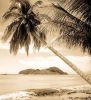 1930s island photos