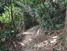 Chai Chet Jungle Walk