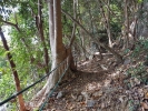 Chai Chet Jungle Walk