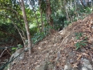 Chai Chet Jungle Walk