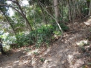 Chai Chet Jungle Walk