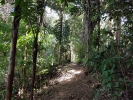 Chai Chet Jungle Walk