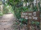 Chai Chet Jungle Walk