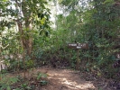 Chai Chet Jungle Walk