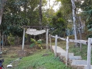 Chai Chet Jungle Walk
