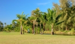 Siam Bay Disc Golf Koh Chang