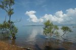 Shoreline