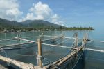 Keep nets at the pier in Dan Mai