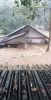 Koh Chang Flood 2019