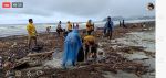 Cleaning the beach
