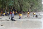 Cleaning the beach