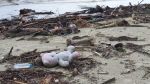 Klong Prao beach after the flood